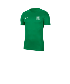 Nike Park VII Trikot kurzarm Kids Grün F302