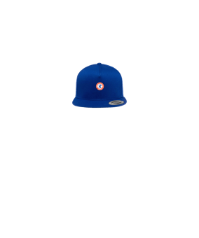 Merch 5 Panel Classic Snapback Cap Royal Green | logo4c