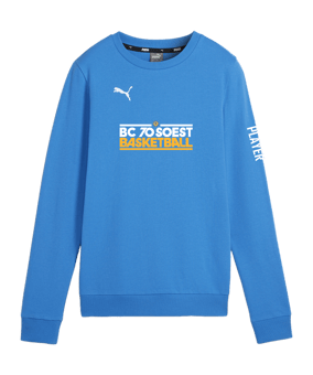 PUMA teamGOAL Casuals Sweatshirt Damen Blau F02