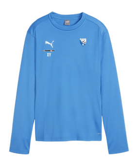 PUMA teamGOAL Training Sweatshirt Damen Blau F01