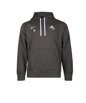 Nike Park 26 Sweatshirt à capuche Gris C071