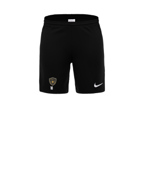 Nike Park III Court Noir C010 