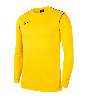 Nike Park 20 Training Sweatshirt Gelb F719 - gelb