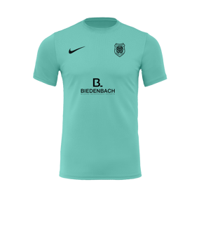 Nike Park VII Trikot kurzarm Türkis F354