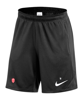 Nike Strike 24 Court Noir C010