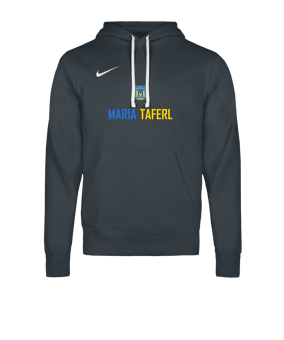 Nike Park 26 Hoody Grau F071