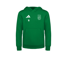 adidas Entrada 26 Hoody Kids Grün
