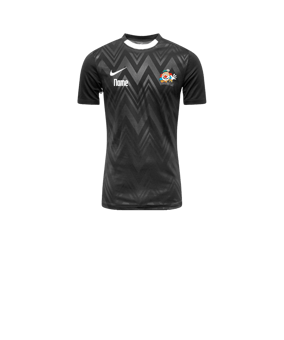 Nike Challenge V Trikot Kids Schwarz Weiss F010