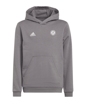 adidas Entrada 22 Hoody Kids Grau