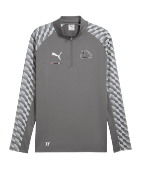 PUMA teamLIGA26 Training 1/4 Zip Top Grau F13