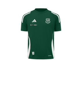 adidas Tiro 24 Trikot Kids Grün Weiss