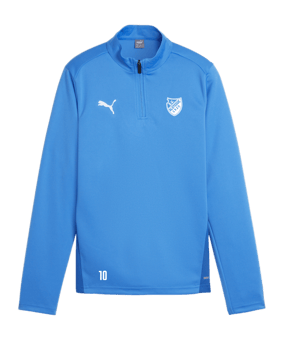 PUMA teamGOAL Training 1/4 Zip Sweatshirt Kids F02