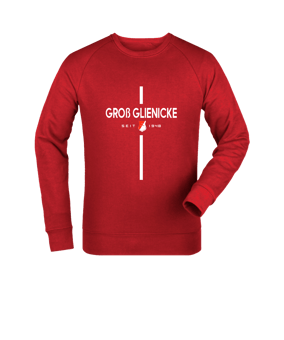 Merch Roller Sweatshirt Red | #revolution
