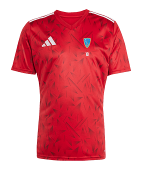 adidas Team Icon 25 Trikot Rot
