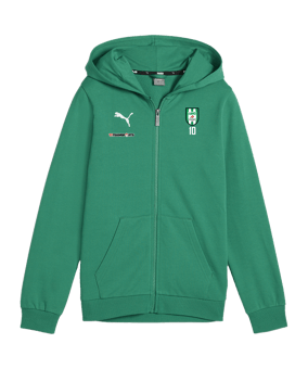PUMA teamGOAL Casuals Kapuzenjacke Kids Grün F05