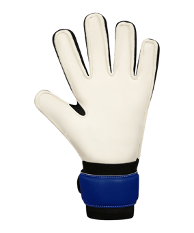 JAKO River Basic RC Torwarthandschuhe Blau F933 - blau