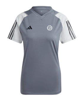 adidas Tiro 23 Competition Trikot Damen Grau