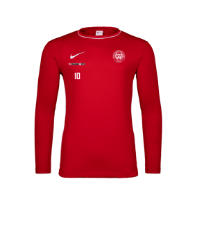 Nike Park 26 Longsleeve Rot F657