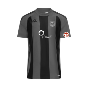 adidas Striped 24 Trikot Grau Schwarz