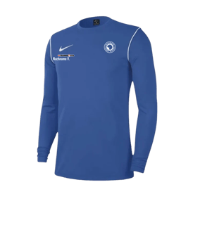 Nike Park 20 Sweatshirt Blau Weiss F463