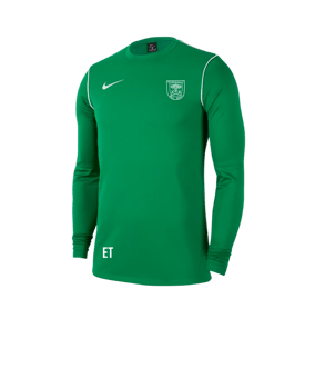Nike Park 20 Training Sweatshirt Grün F302 