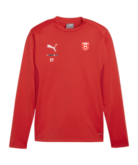 PUMA teamGOAL Training Sweatshirt Rot F01
