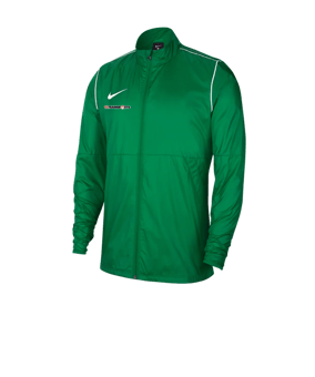Nike Park 20 Regenjacke Grün F302
