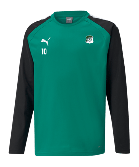 PUMA teamLIGA Sweatshirt Kids Grün F05