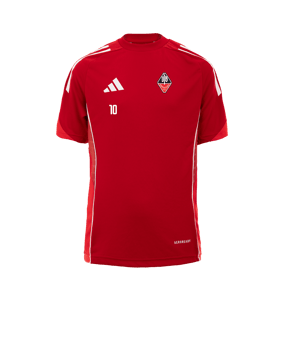 adidas Tiro 25 Competition Trainingsshirt Rot