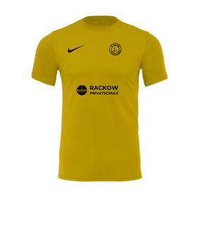 Nike Park VII Trikot kurzarm Gelb F719
