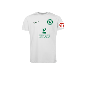 Nike Park VIII Trikot Kids Weiß F102