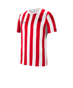 Nike Division IV Striped Trikot kurzarm Weiss F104