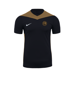 Nike Park Derby IV Trikot Schwarz Gold F011