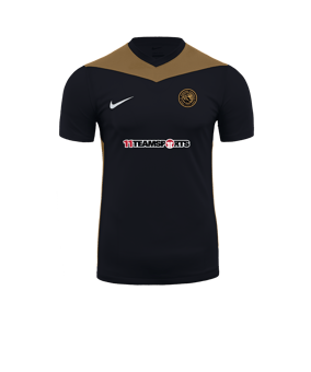 Nike Park Derby IV Trikot Schwarz Gold F011