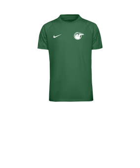Nike Academy II Trikot Kids Grün F302