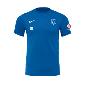 Nike Park VII Trikot kurzarm Blau F463