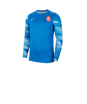 Nike Park IV TW-Trikot langarm Kids Blau F463