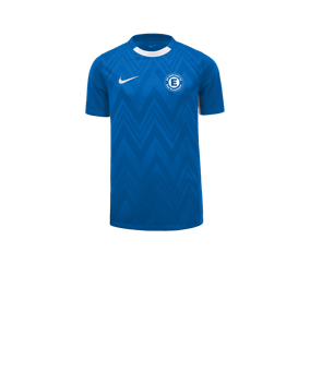 Nike Challenge V Trikot Kids Blau Weiss F463