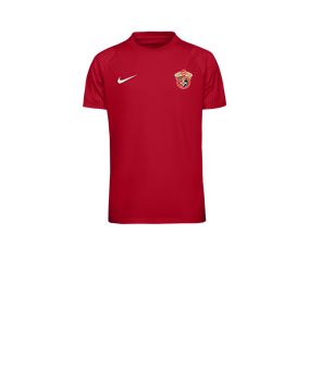 Nike Academy II Trikot Kids Rot F657