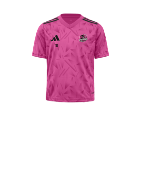 adidas Team Icon 25 Maillot Enfants Rose 