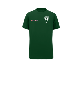 Nike Park 20 T-Shirt Kids Grün Weiss F302