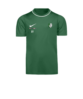 Nike Park 26 Trainingsshirt Kids Grün F302