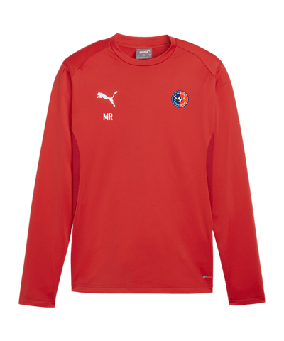 PUMA teamGOAL Training Sweatshirt Rot F01