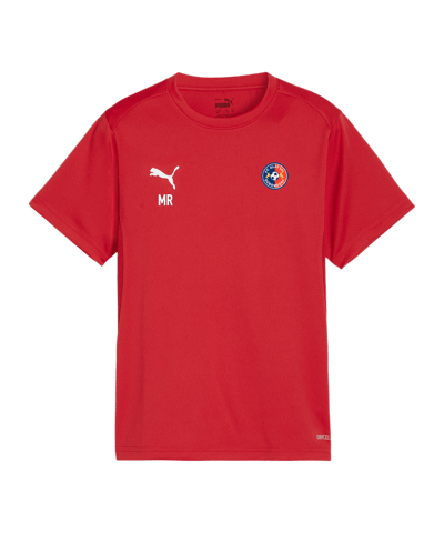PUMA teamGOAL Trikot Kids Rot F01
