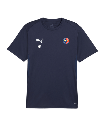 PUMA teamGOAL Trikot Blau F06