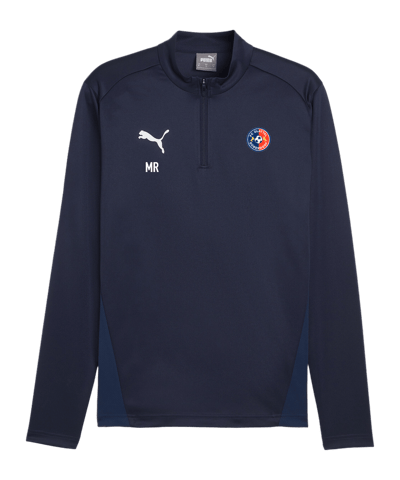 PUMA teamGOAL Training 1/4 Zip Sweatshirt Blau F06