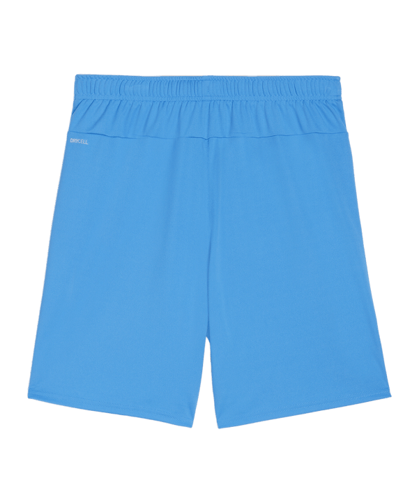 PUMA teamGOAL Short Blau Weiss F02 - blau