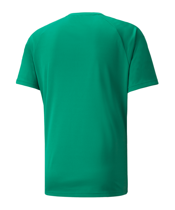 PUMA teamLIGA Striped Trikot Grün Schwarz F05 - gruen