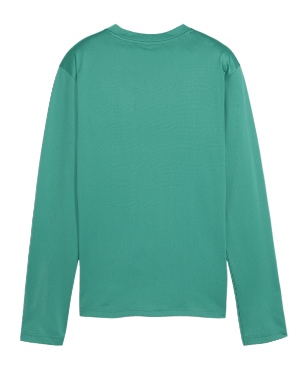 PUMA teamGOAL Training Sweatshirt Damen Grün F05 - gruen