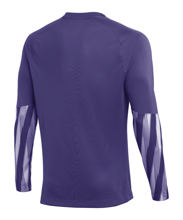Nike Park V Trikot langarm Lila F507